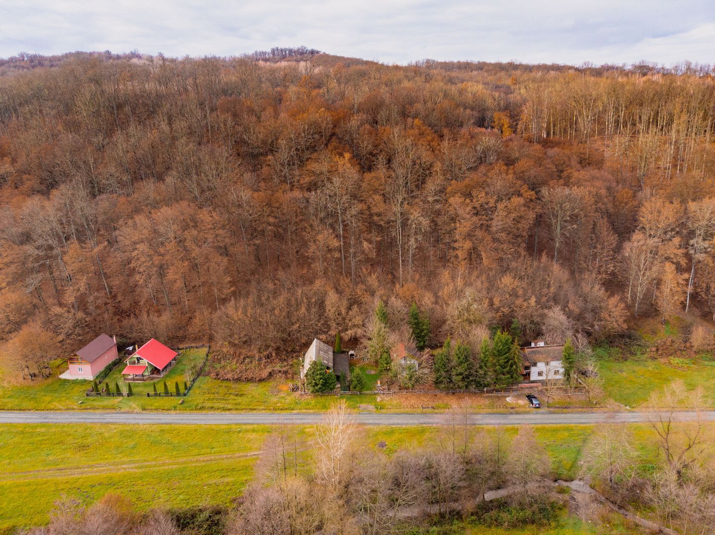 Casă de vacanța în Rădești jud.Arad - Poză 5