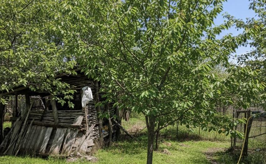 Teren 1.451 mp INTRAVILAN in Podari – Toate utilitatile - Poză 4