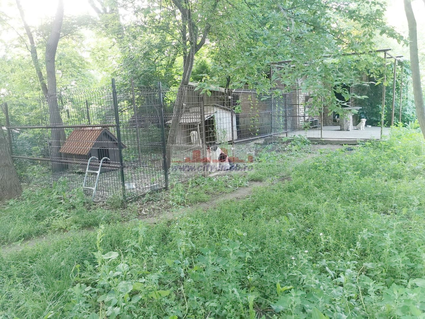 Vanzare casa conslidata Silistea Snagovului Com. Gruiu, Ilfov Snagov - Poză 34