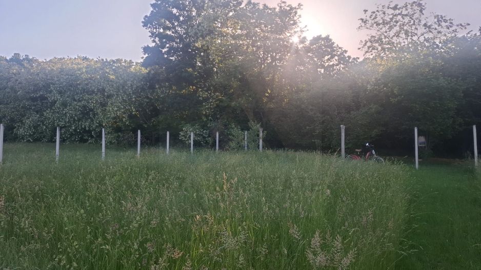 Teren intravilan 809 mp cu deschidere 14 m în Tropinii Noi - Poză 14