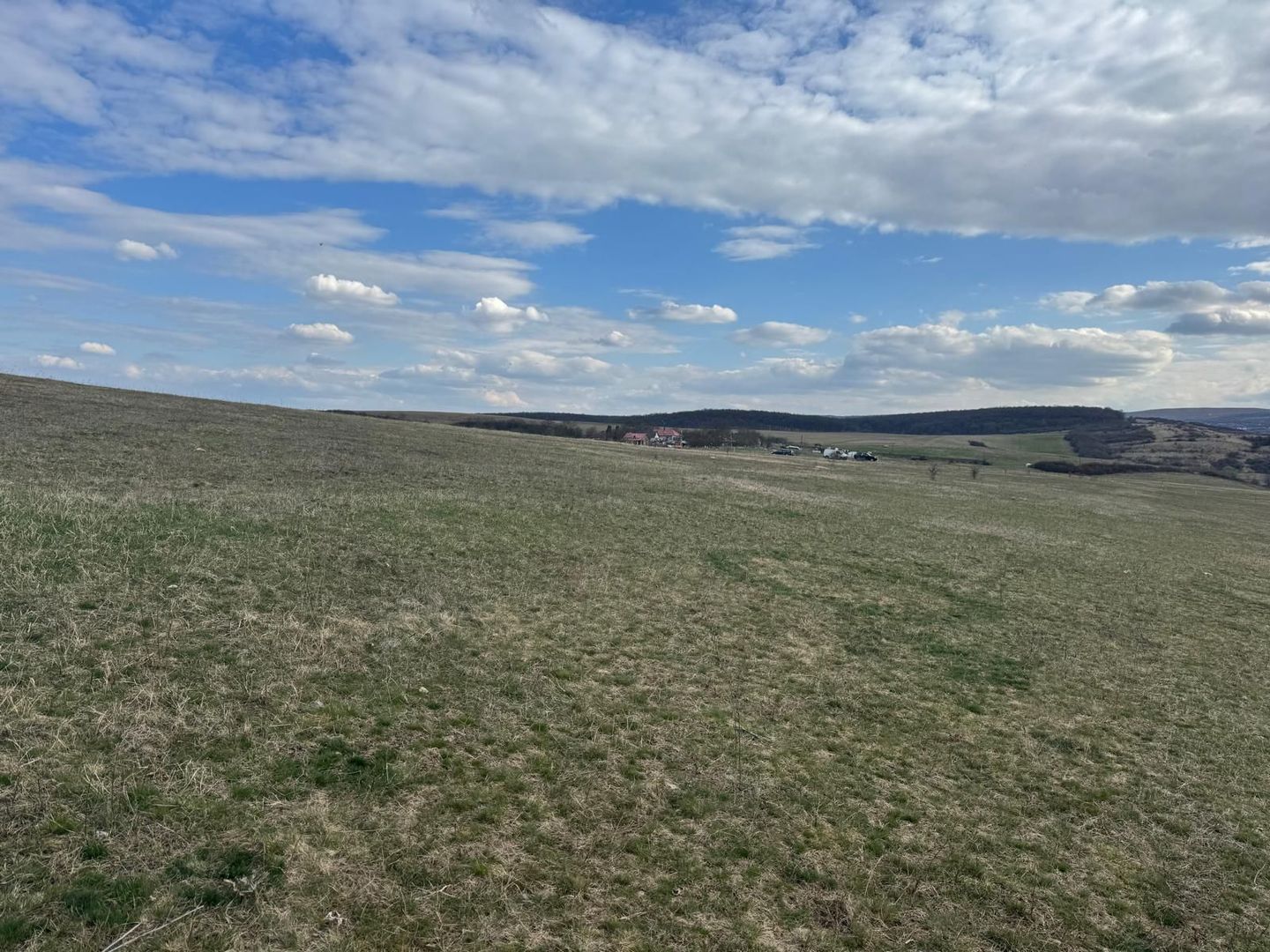 Teren intravilan in zona Tufele Rosii | Colonia Bundus | 2.990 mp - Poză 2