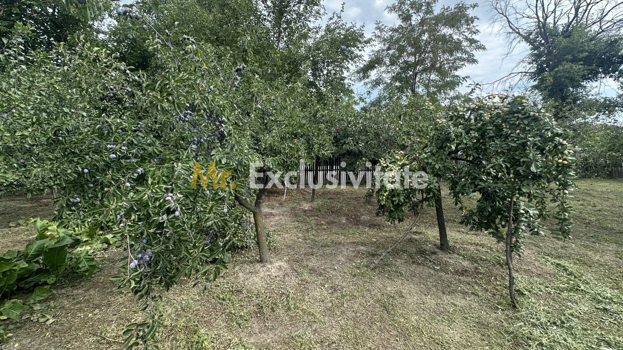 Casa traditionala+teren 1172mp intravilan in Lunca Corbului, Arges - Poză 8