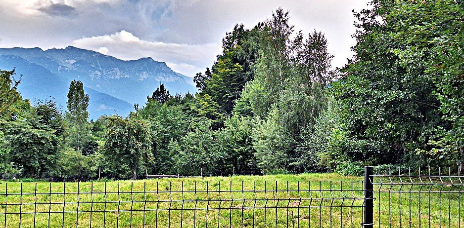 Bran Predelut teren intravilan de 2000mp, pret 27 euro/mp - Poză 1