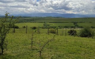 De vanzare, teren 11.500 mp – Dealul Dăii,  Vedere panoramică spre munți și lac - Poză 6