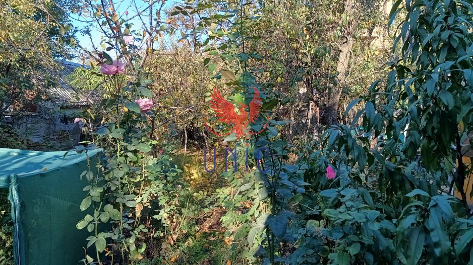 Oportunitate  teren intravilan, zona Sydney - Poză 2