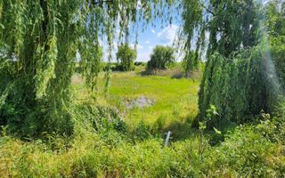 Spatiu industrial productie/ depozitare, Timiș - Poză 27