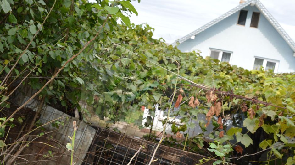 Casă de vânzare în Sfântu Ilie și teren 2000 mp - Poză 33