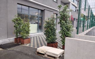 Spatiu comercial I metrou Mihai Bravu I complex nou - Poză 7