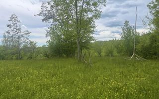 Teren intravilan Sotrile 6762 mp – Investitie, camping, agroturism - Poză 5
