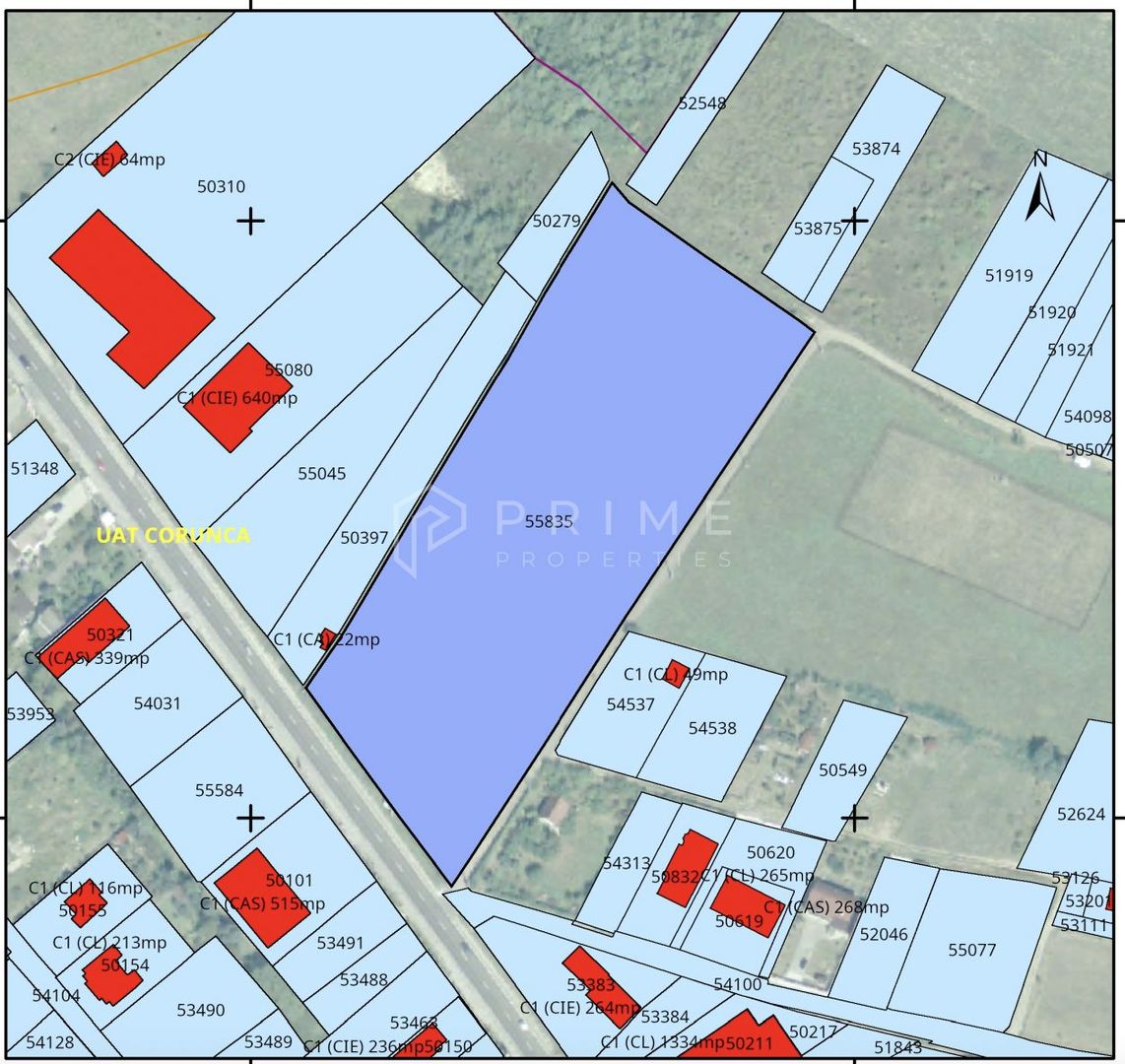 Teren cu potențial multiplu de dezvoltare – Corunca, E60, 10.000 mp - Poză 4