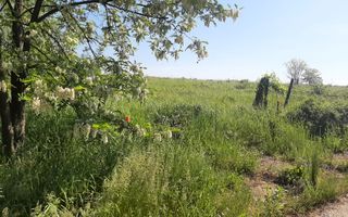 Teren de vânzare în Lugoj, judet Timis - Poză 6