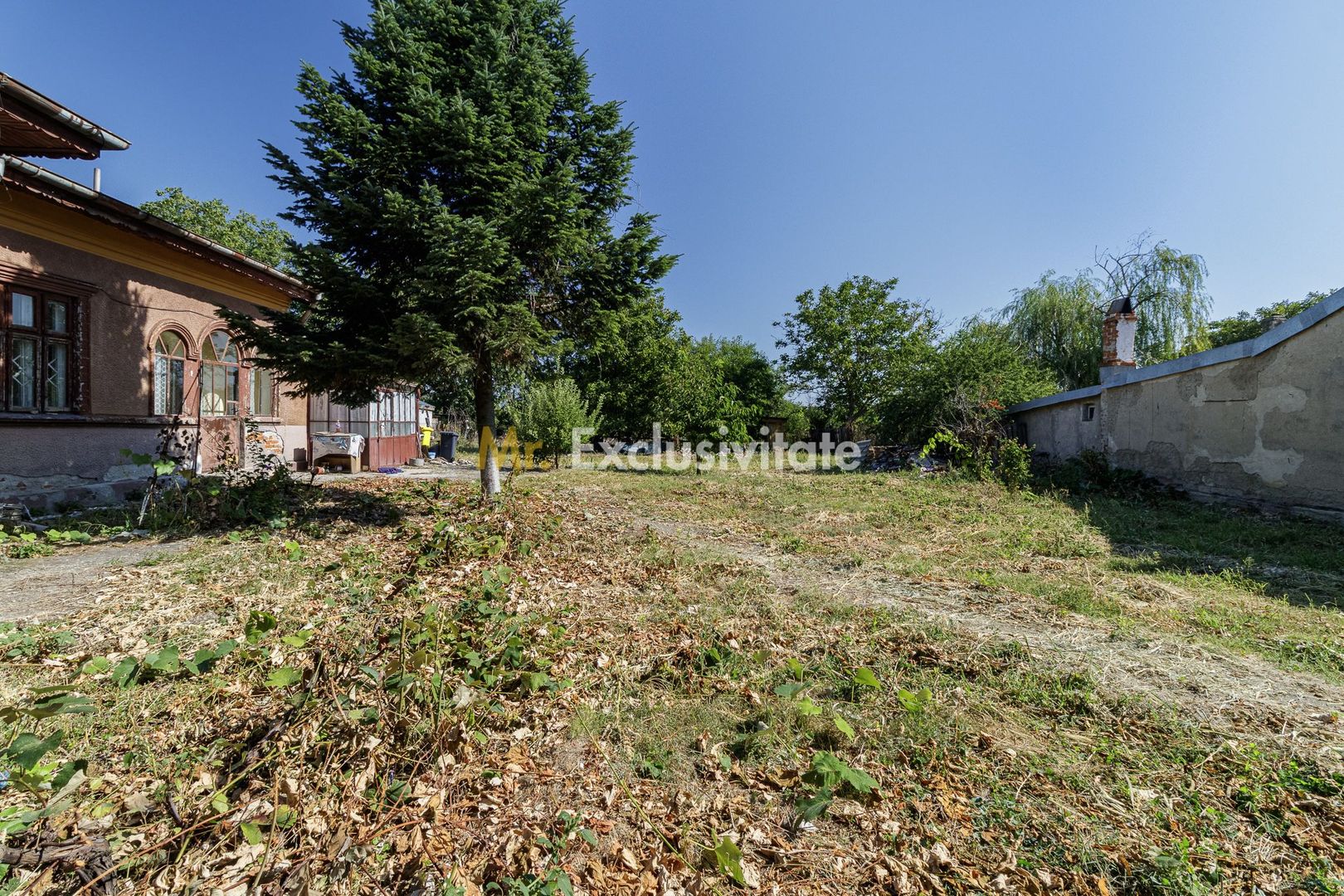 teren 3889 mp Domnesti Primarie - Poză 3