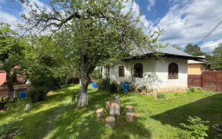 2 Case + teren 1390 mp langa parcul central Provita de Sus - Poză 24