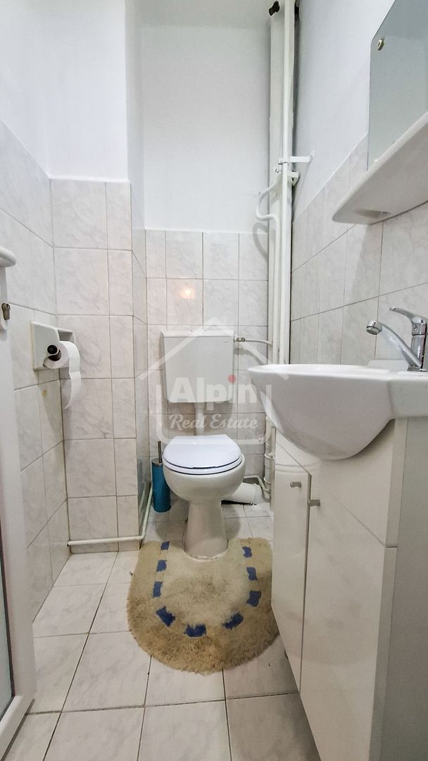 Suprafata Generoasa I Zona Gemenii - Poză 22