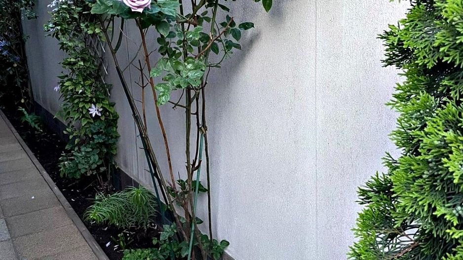 Bartolomeu, (zona strada Lungă), casa construcție 2009 - Poză 28