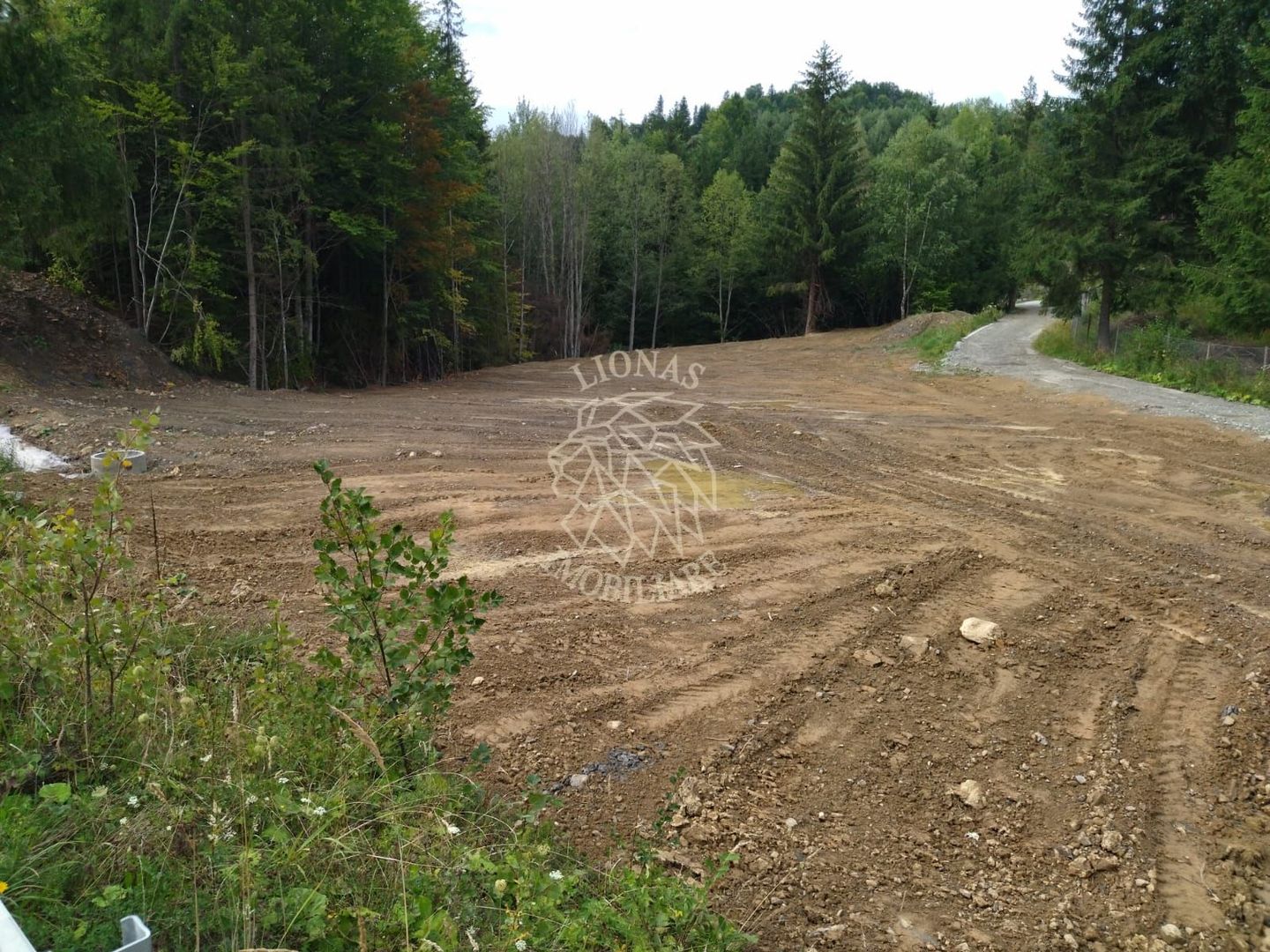 Teren intravilan 1350 mp-parcelabil-ideal cabana/restaurant-Colibita - Poză 3