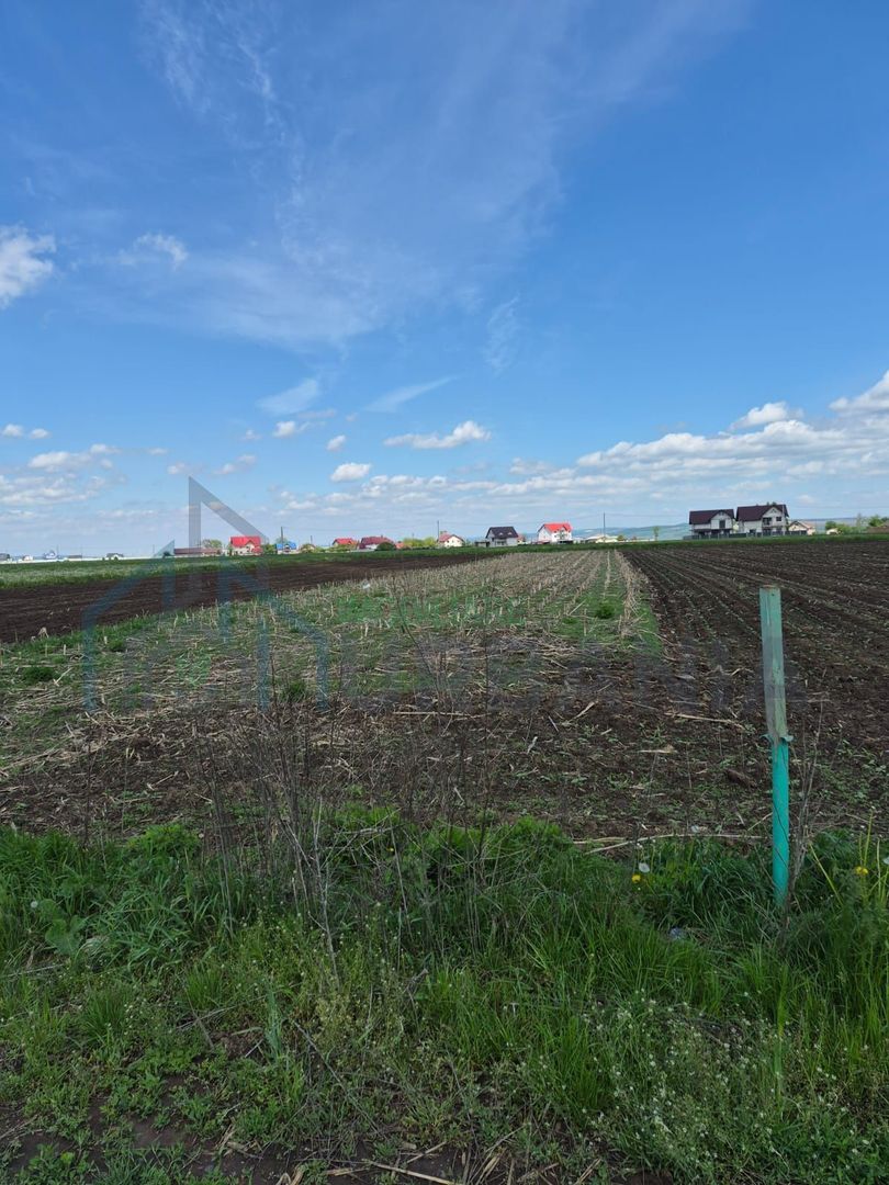 Teren de vânzare în Stolniceni-Prăjescu, 1250 mp, deschidere 12.5 m - Poză 3