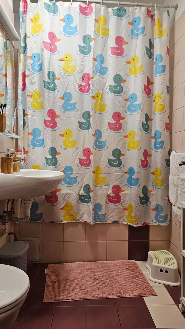 Apartament Luminos 3 camere. Sincai. Metrou. Parc Tineretului. Piata Norilor. - Poză 10