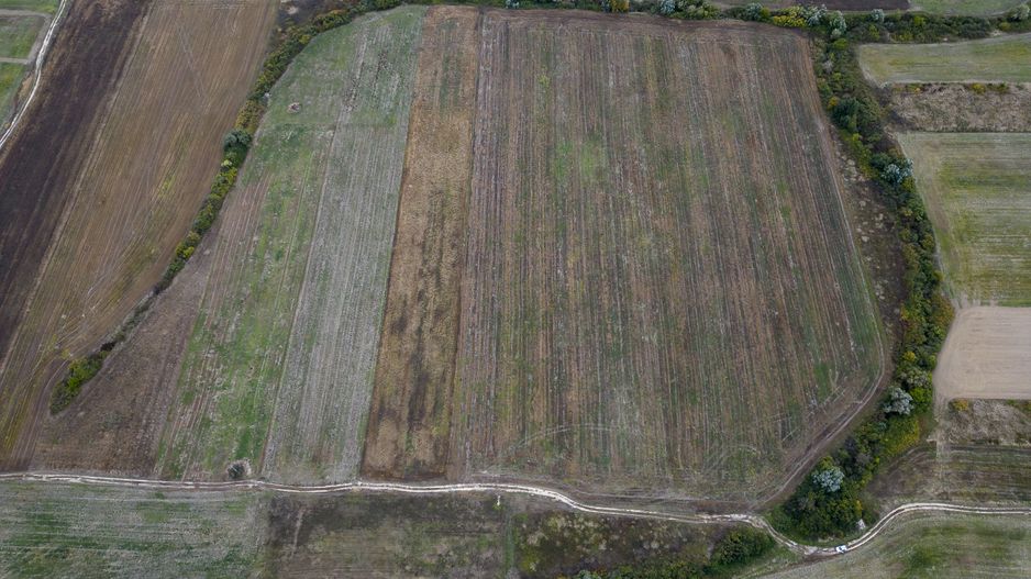 Teren agricol de 34.500mp în Albina, Județul Timiș - Poză 4