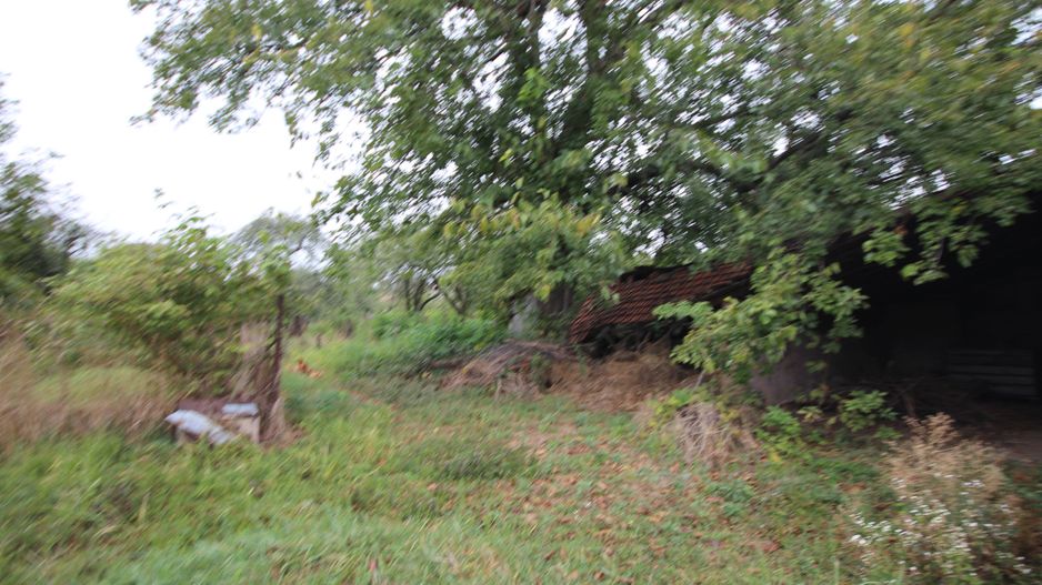 Teren de vânzare - 1900 mp Dumbravita - Poză 7