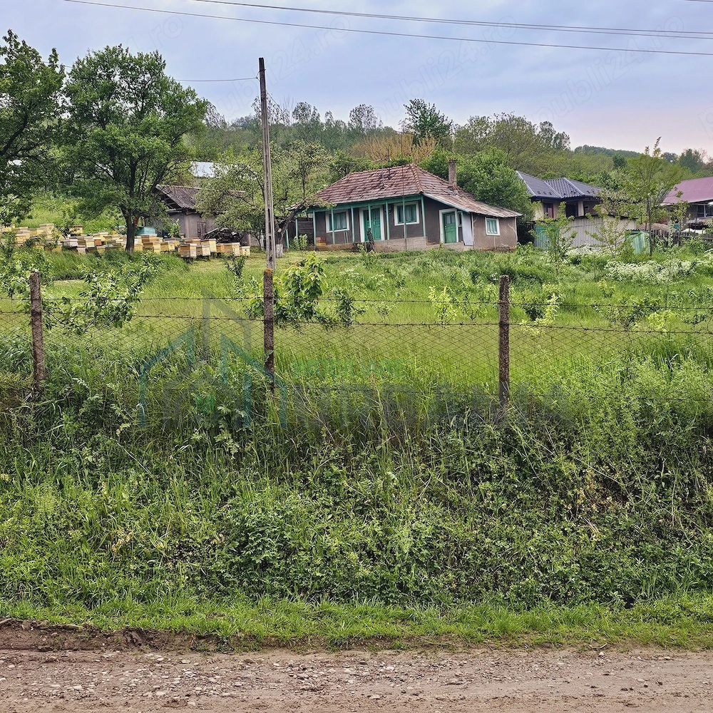Casă cu teren intravilan de 5000 mp, livadă tânără și vie productivă, în Roșu, comuna Răducăneni, județul Iași - Poză 10