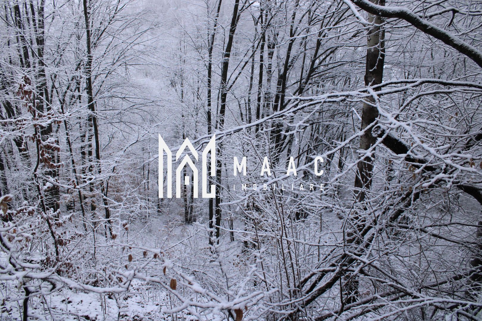 Teren cu izvor de apă minerală  Dangești, Punctul Valea Mare - Poză 33