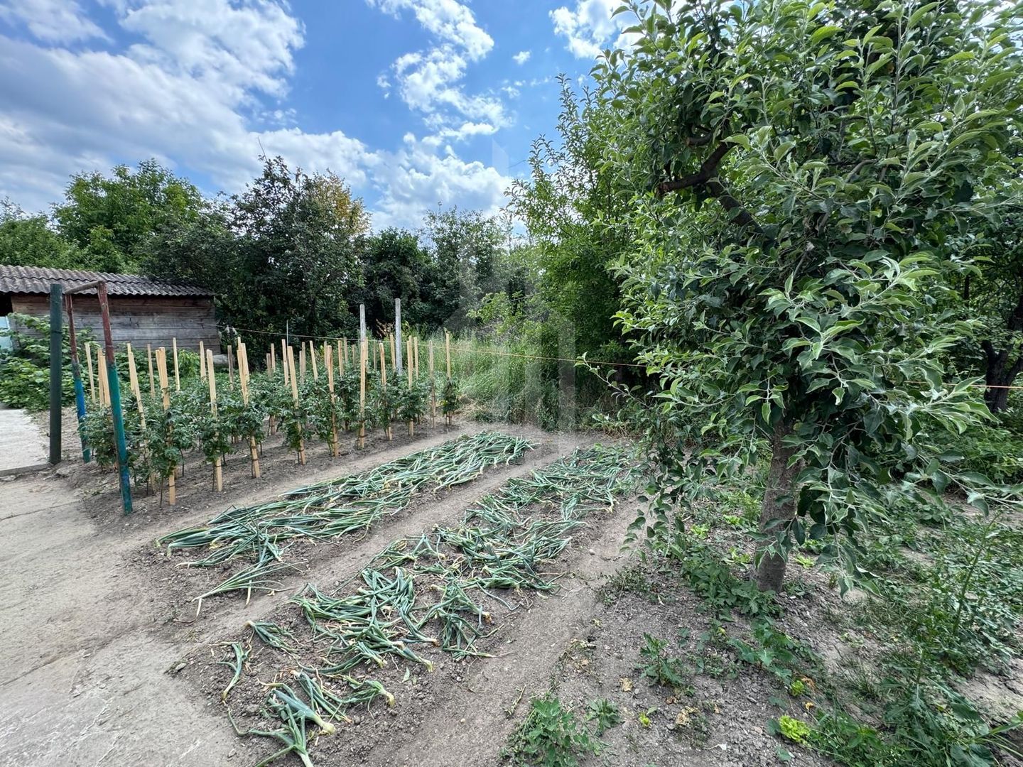 Casă spațioasă in Seica Mare - Centru | 92mpu 638mp teren - EXCLUSIVITATE - Poză 7