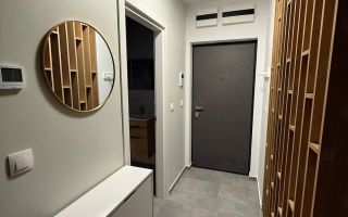 Inchiriere Apartament cu 2 cam. Adora Forest - Poză 9