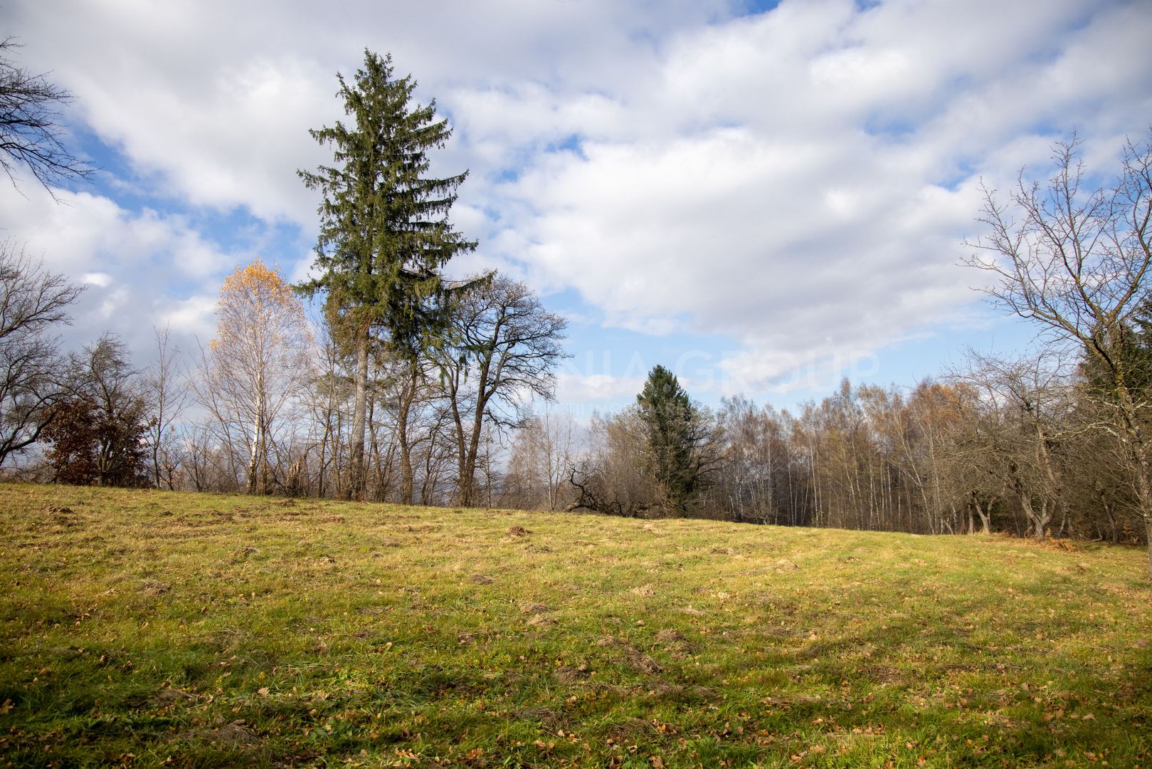 Teren intravilan, cu PUZ, Bran Tohanita,  SE ACCEPTĂ ȘI SCHIMB - Poză 22