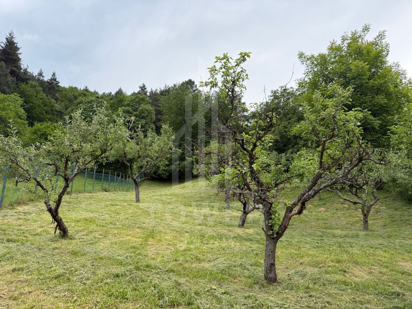 Casă rustică de vânzare în Tilișca, (Marginimea Sibiului) - Poză 24