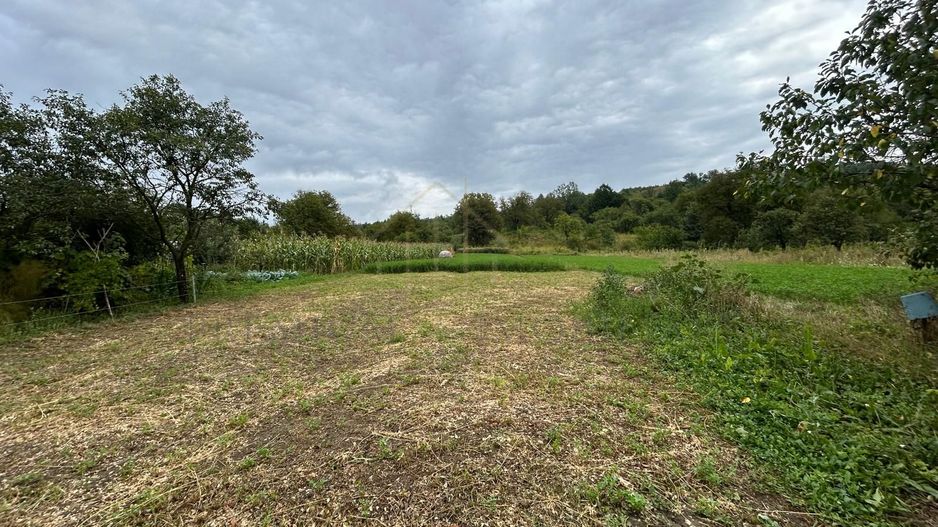 Proprietate de vânzare | 15 km de Onești, DN11 – direcția Bacău - Poză 12