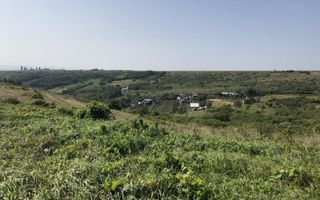 Teren Sorogari, 19000mp,  35euro/mp - Poză 8