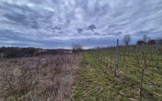 Vand 2 parcele de 5700 mp zona Iabalcea - Poză 1