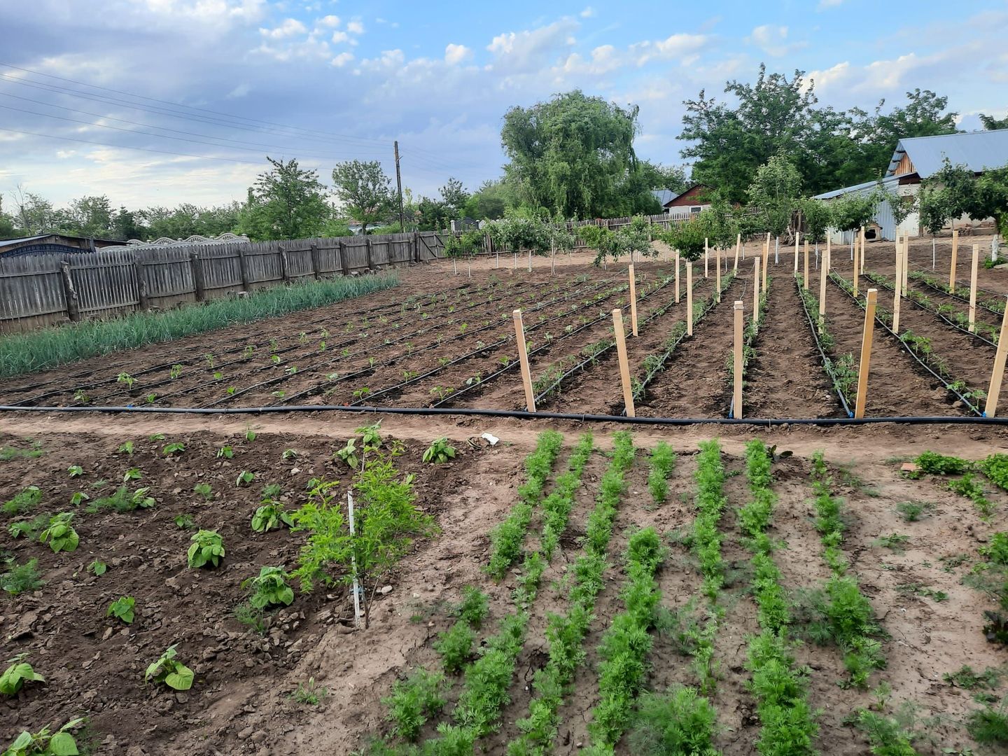 Casa Parter+Pod 90 mp+anexa 60 mp + atelier + teren intravilan 1600 mp - Poză 44