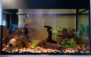 Statiunea Mamaia -UNICAT- Penthouse 220 mp cu vedere frontala la mare si jacuzzi - Poză 15