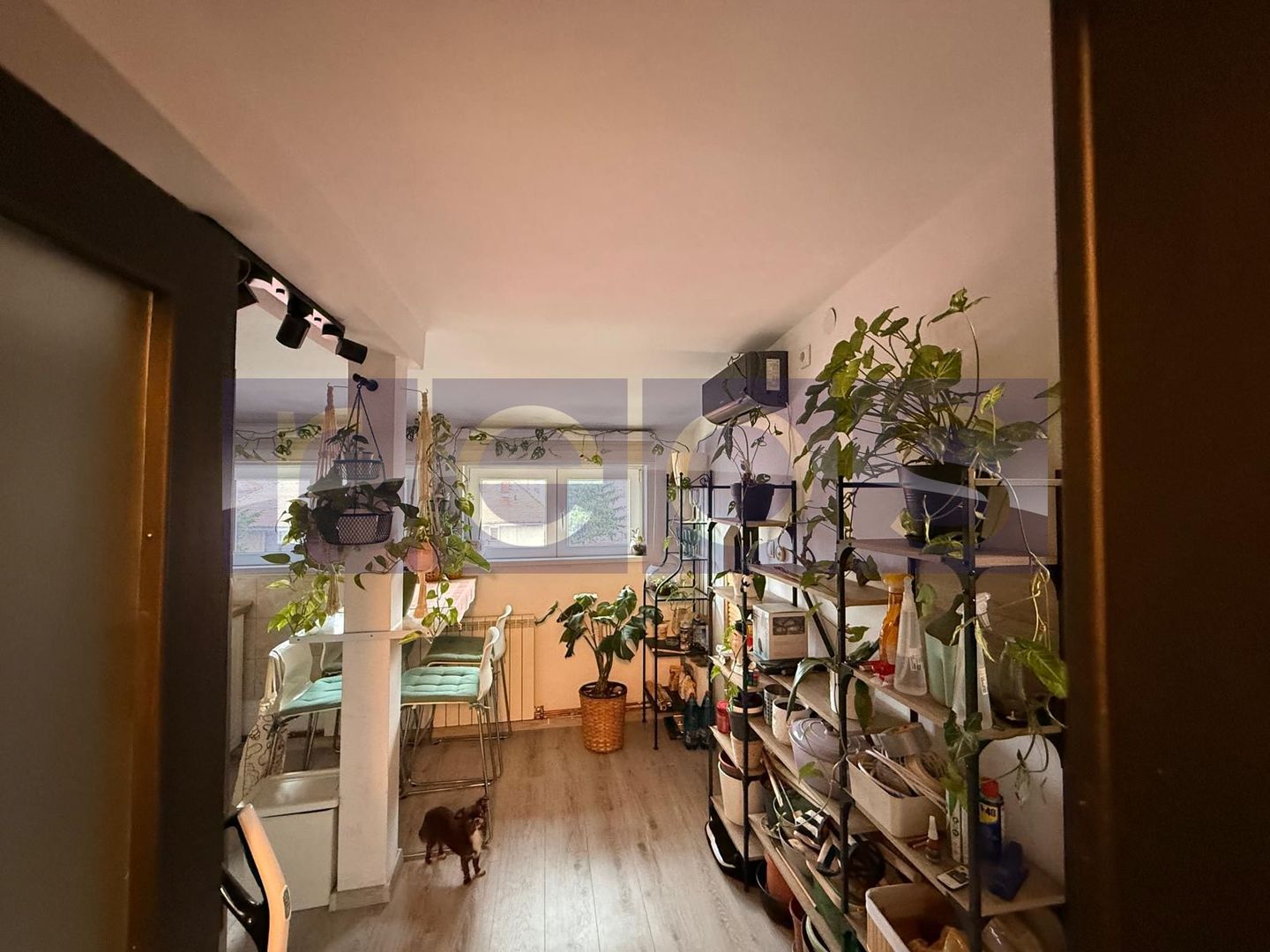 VANZARE 2 CAMERE IN VILA ZONA DOMENII | RENOVAT COMPLET | - Poză 3