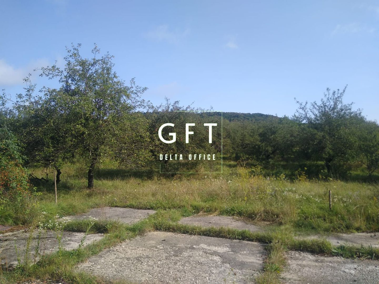 Teren 1500 mp - pretabil cabana/investitie - Zona Valea Rusului - Poză 4