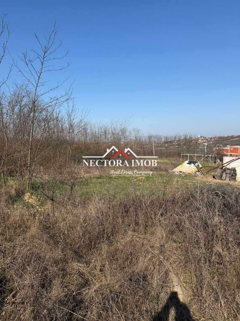 NECTORA IMOB-Teren Intravilan Lac Paleu, 886 mp, Front 27 ml,Utilitati - Poză 2