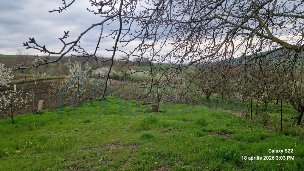 Teren de vanzare, Bohotin, Raducaneni, 1100 mp - Poză 5