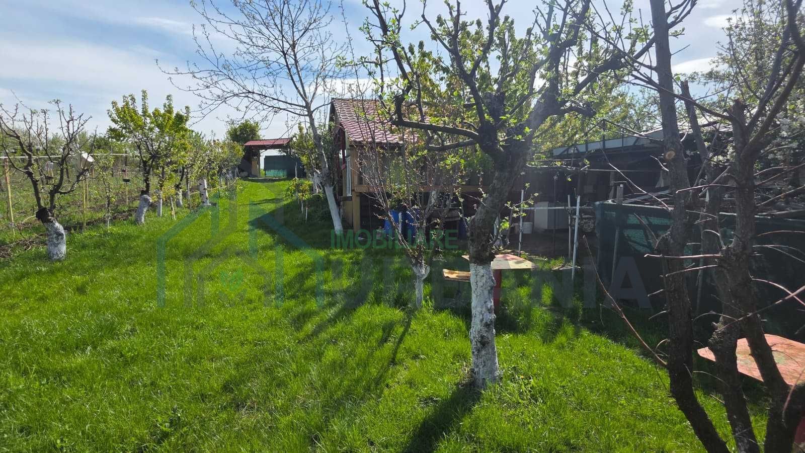 Teren intravilan 1500 mp, Tomesti – Chicerea, 10 km de Iasi, utilitati la limita - Poză 5