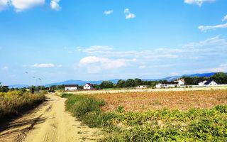 teren intravilan in Sacele-Baciu - Poză 4
