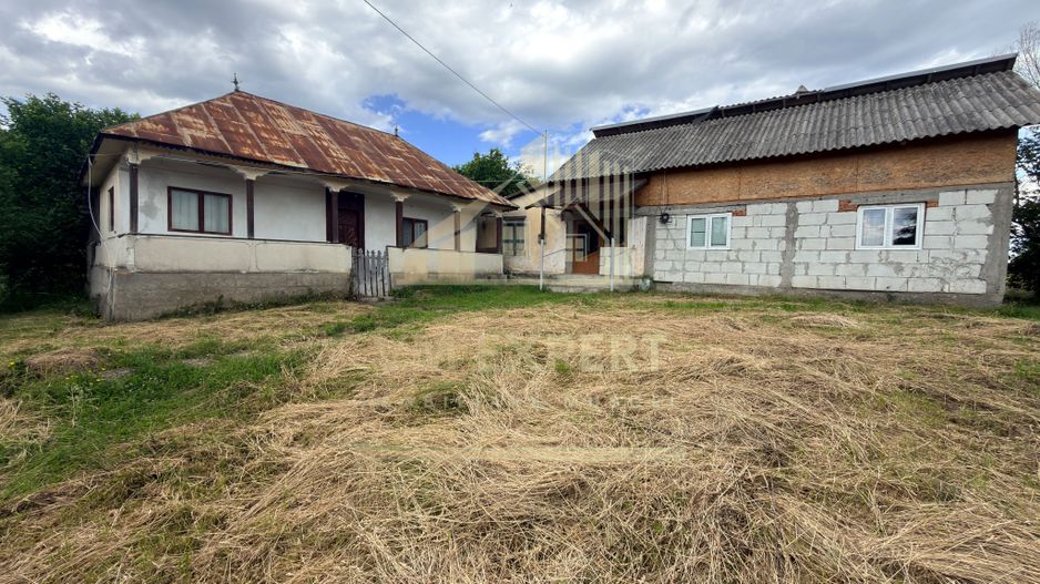 DOUĂ CORPURI DE CASĂ TEREN INTRAVILAN 6997 MP BUGHEA DE SUS ARGEȘ - Poză 2