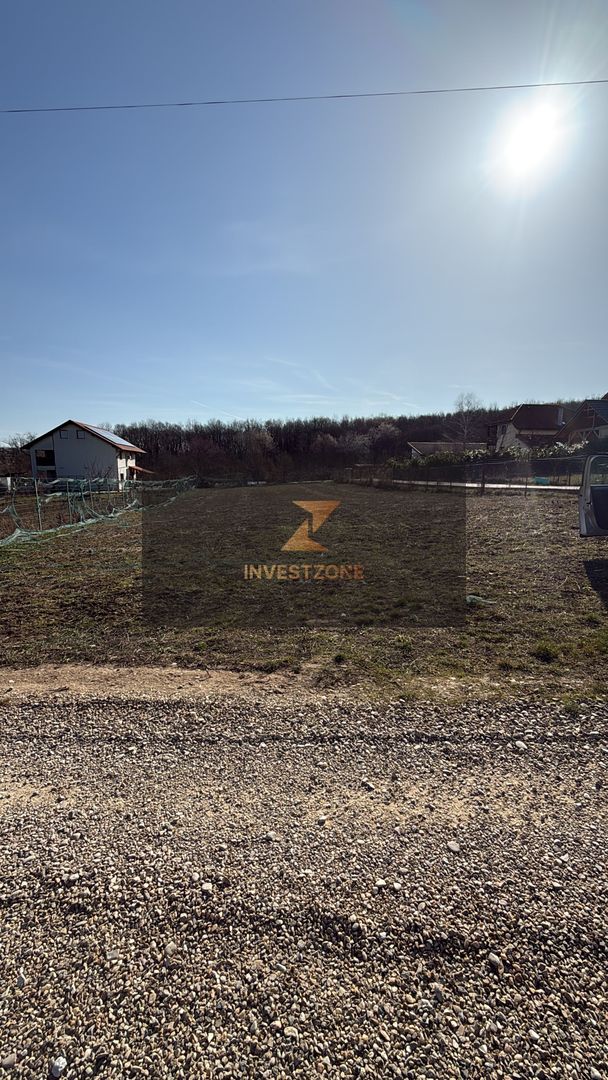 Teren intravilan 700 mp cu utilități în Paleu - Poză 3