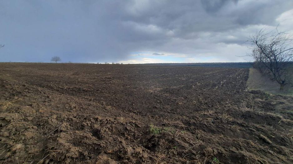 Teren agricol, Boșcana, 20 ari - Poză 3