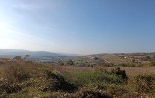 Teren extravilan 5,671mp Cluj-Napoca / Strada Lombului