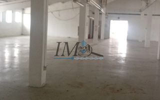 Hala de inchiriat Sebes jud alba - Poză 2