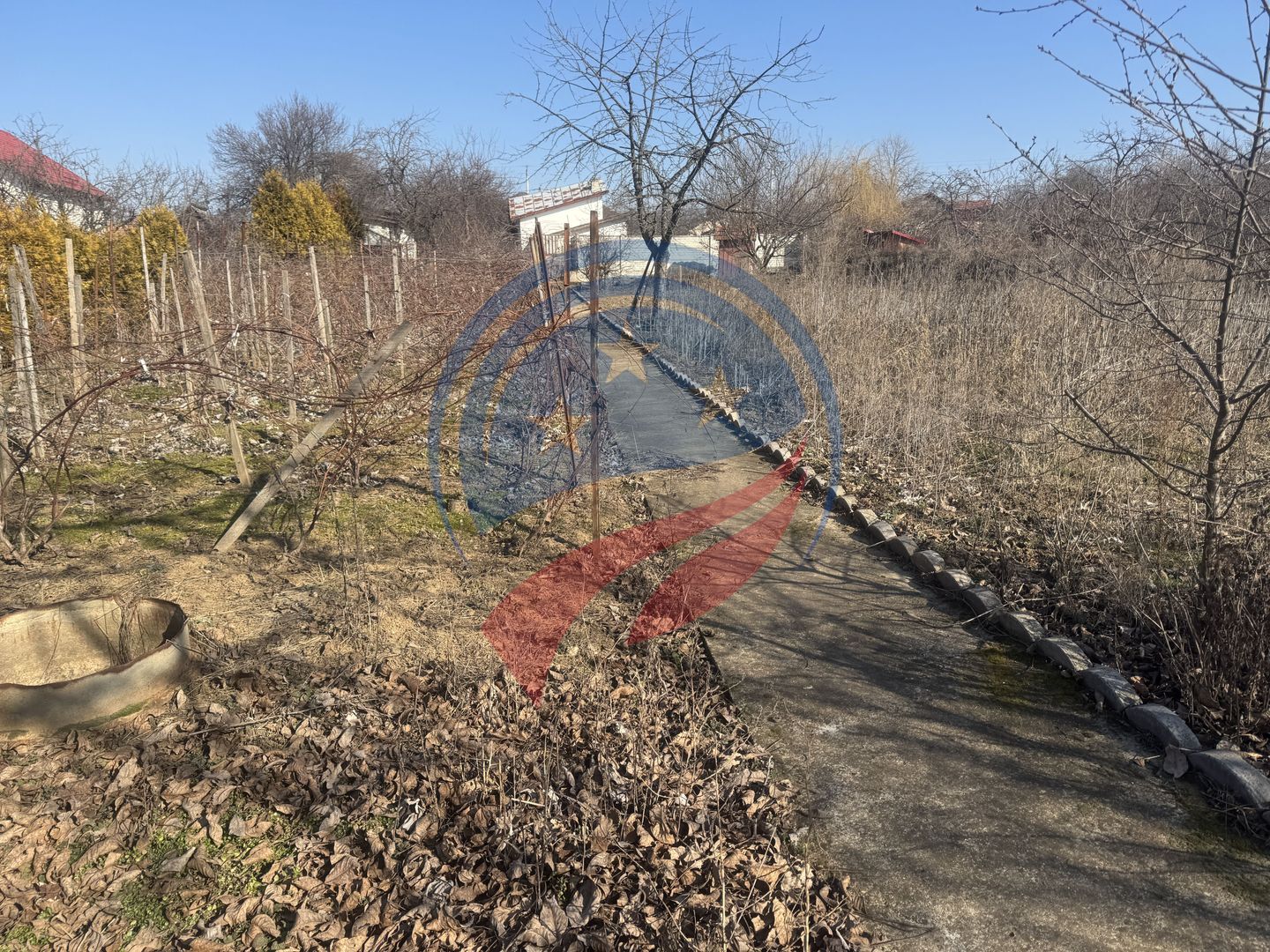 Proprietate deosebita in Filiasi - Poză 23