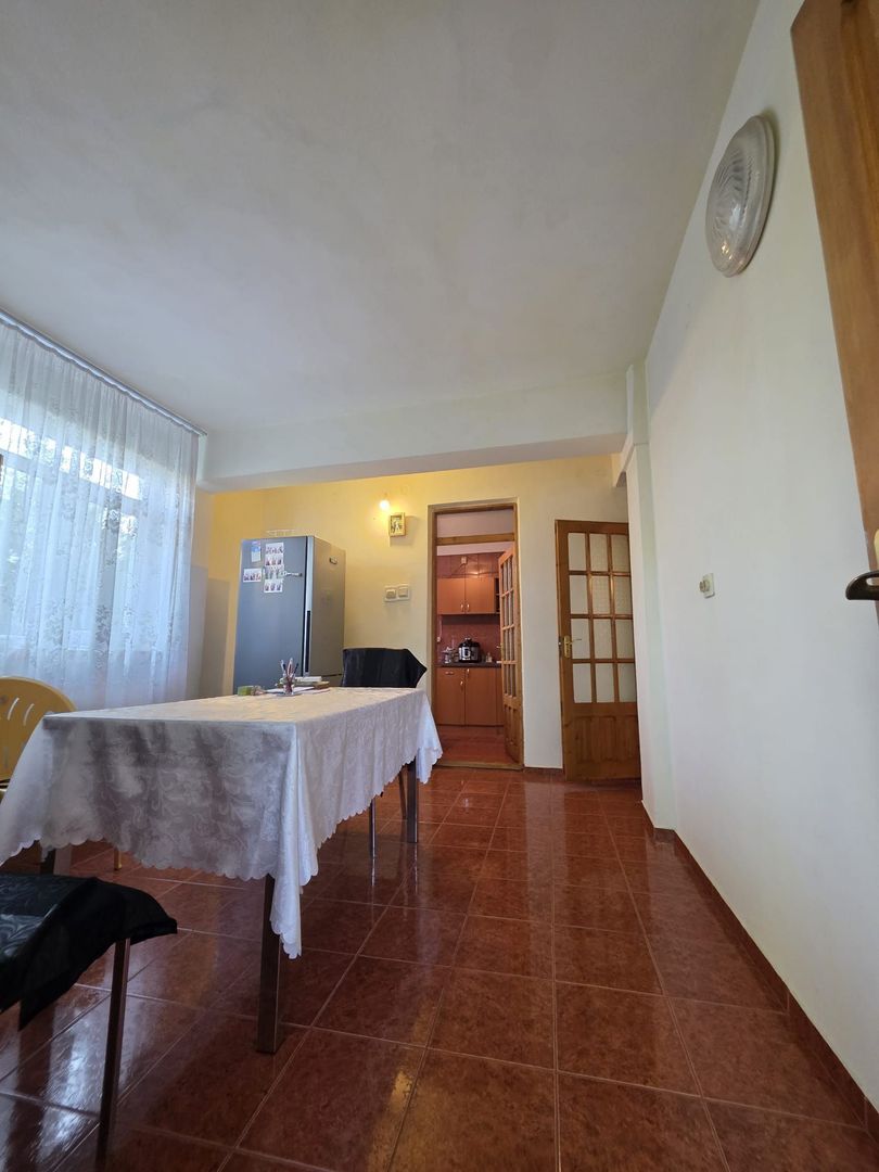 Casă / Vilă cu 8 camere de vânzare în Lapus, Craiova - Poză 11