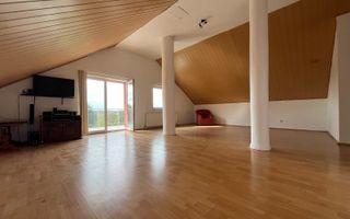 Oportunitate investitie, vila strada Dimitrie Cantemir - Poză 22