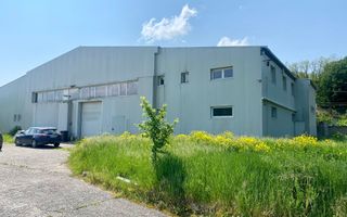 Hala de inchiriat in mun. Brad, disponibila imediat - Poză 1